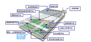 物聯網技術研發驅動下的智慧農業應用與實踐